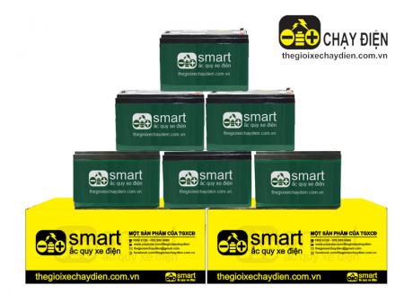 Ắc quy xe đạp điện Smart