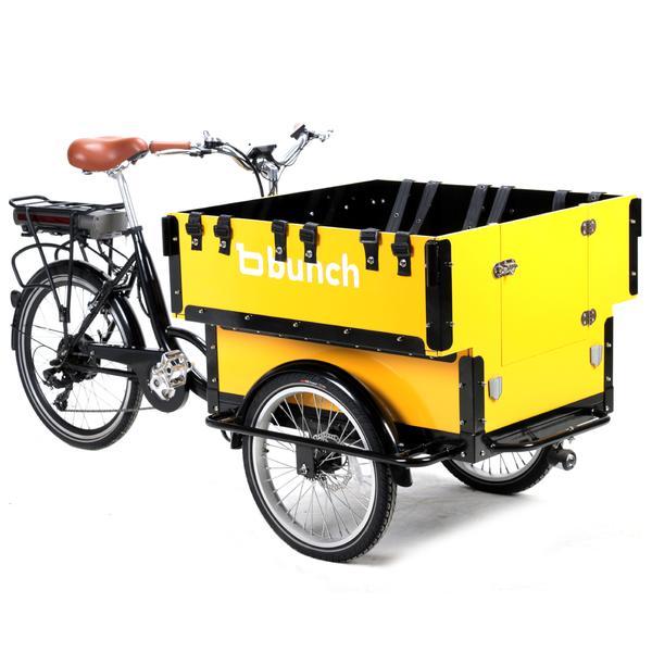 Xe đạp điện chở hàng mầm non
