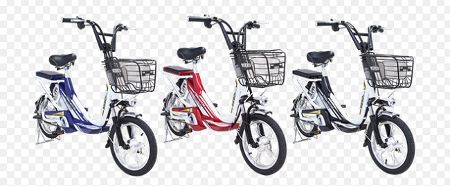 Xe đạp điện Terra Motors S250