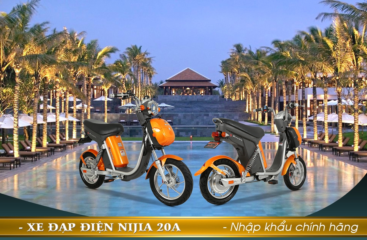 Xe đạp điện Nijia 20A Suzika