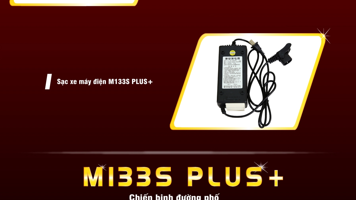 Xe máy điện M133S Plus 2016