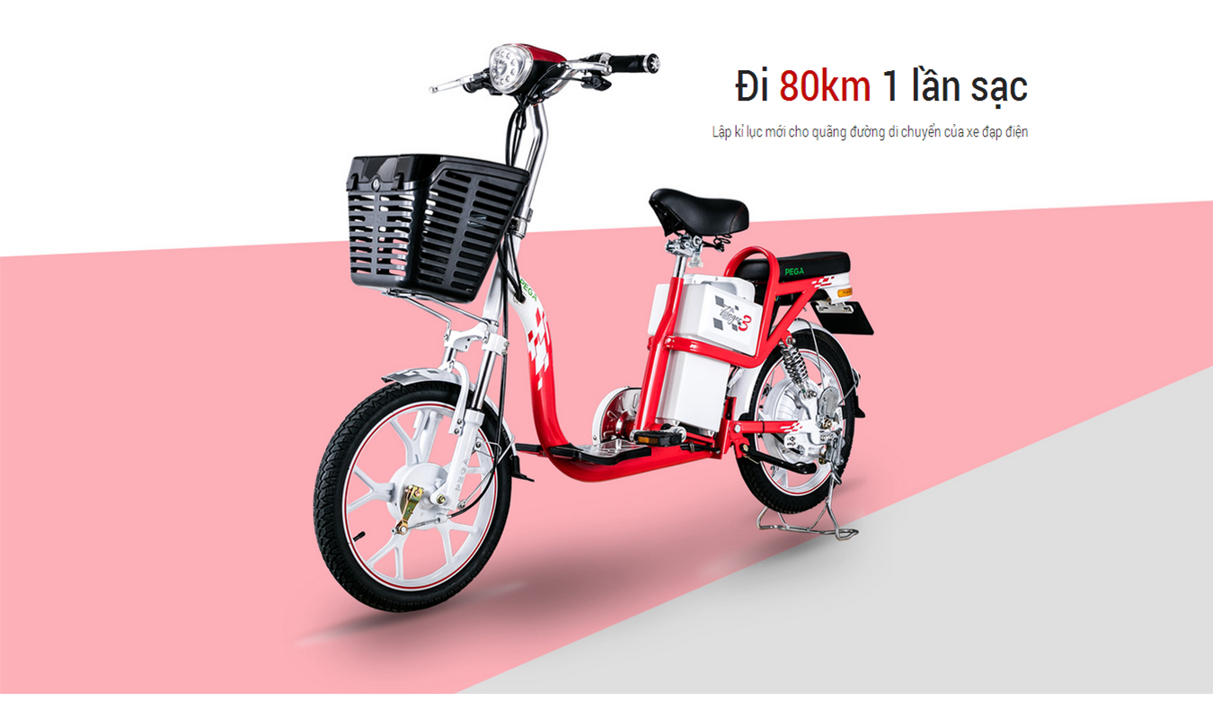 Xe đạp điện Zinger Color 3