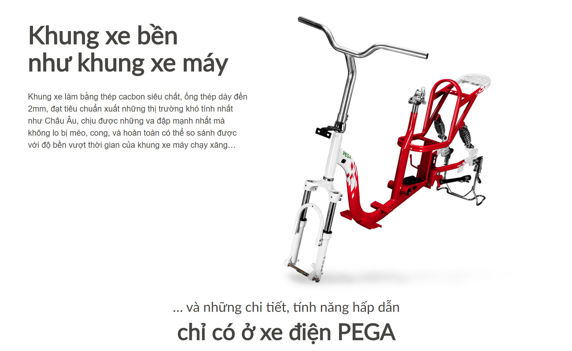 Xe đạp điện Zinger Color 9