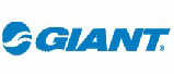 Xe điện Giant