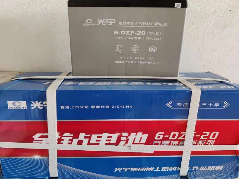 Ắc qui xe máy điện 12v-20a E1