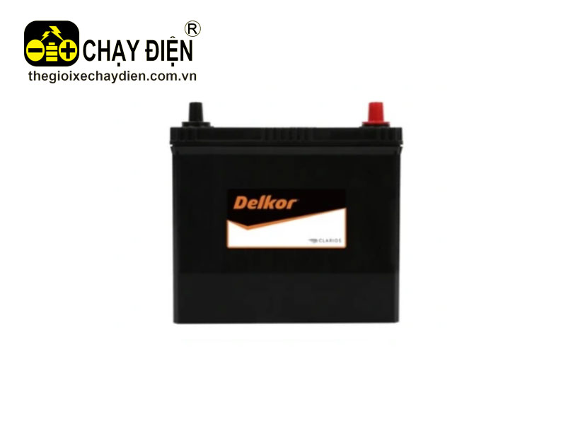 Ắc quy Delkor MF NS60