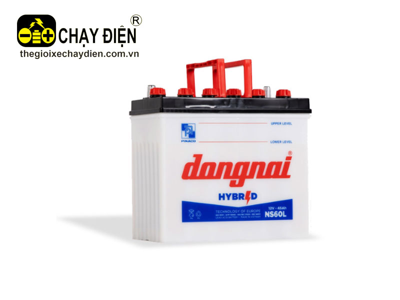 Ắc quy Đồng Nai NS60L