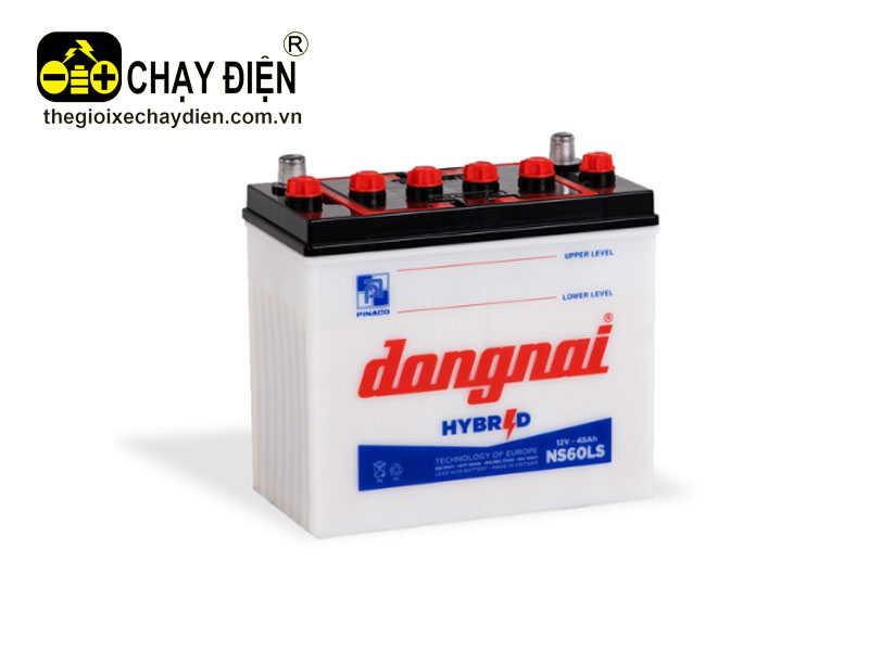 Ắc quy Đồng Nai NS60LS