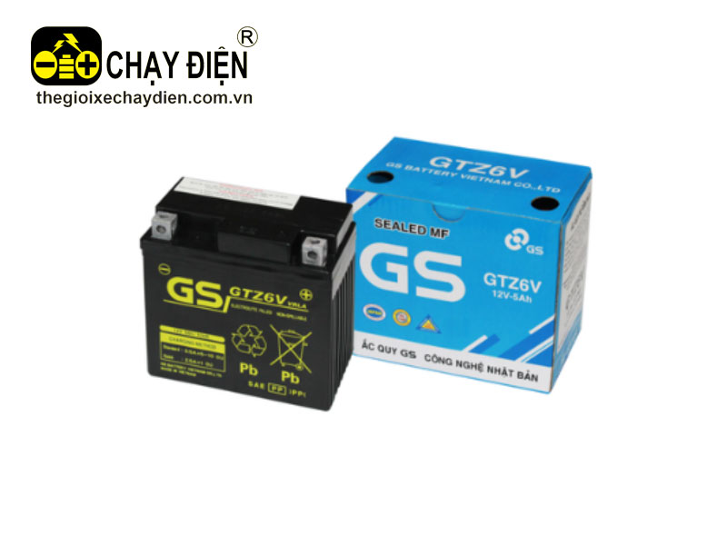 Ắc quy GS GTZ 6V