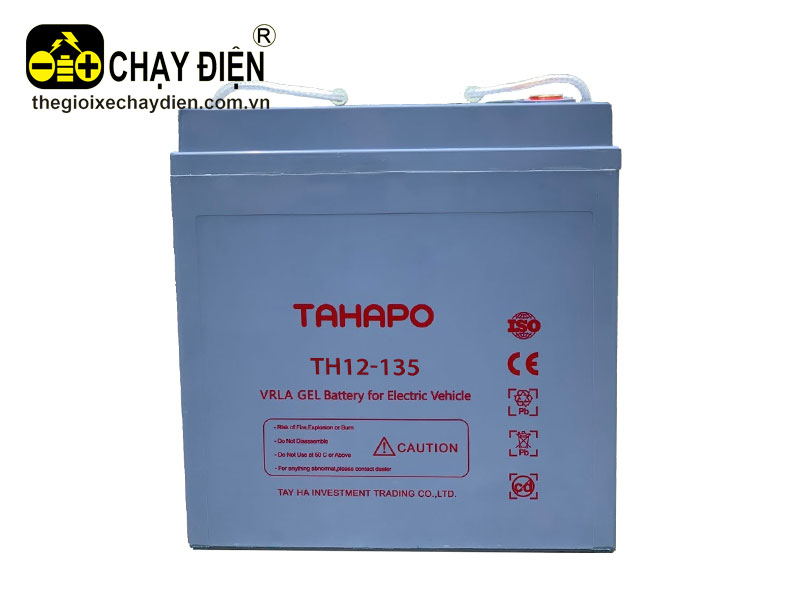 Ắc quy xe điện TAHAPO TH12-135