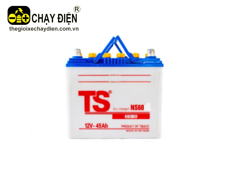 Ắc quy TS NS60