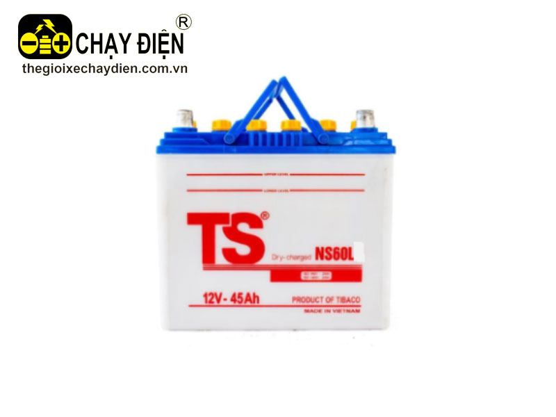 Ắc quy TS NS60L