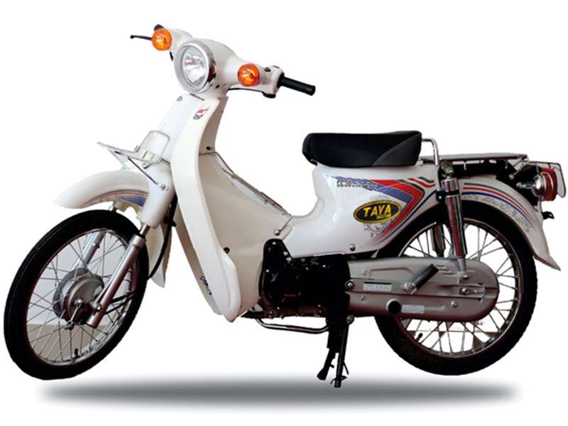 Ắc quy xe Cub Taya tại Bình Định