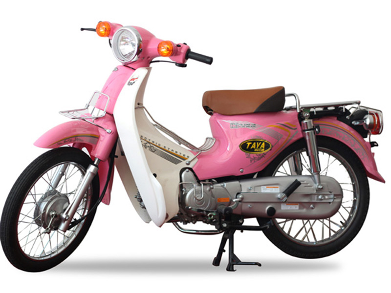 Ắc quy xe Cub Taya tại Bình Thuận