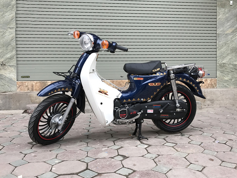 Ắc quy xe cúp điện tại Hà Giang