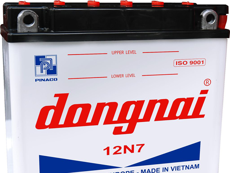Ắc quy xe đạp điện Aima Gia Lai 