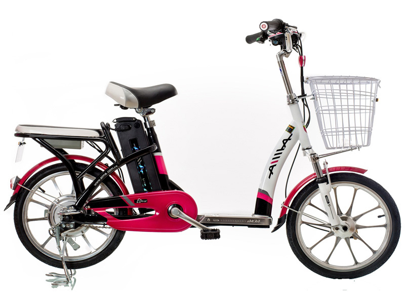 Ắc quy xe đạp điện Aima Phú Mỹ chính hãng