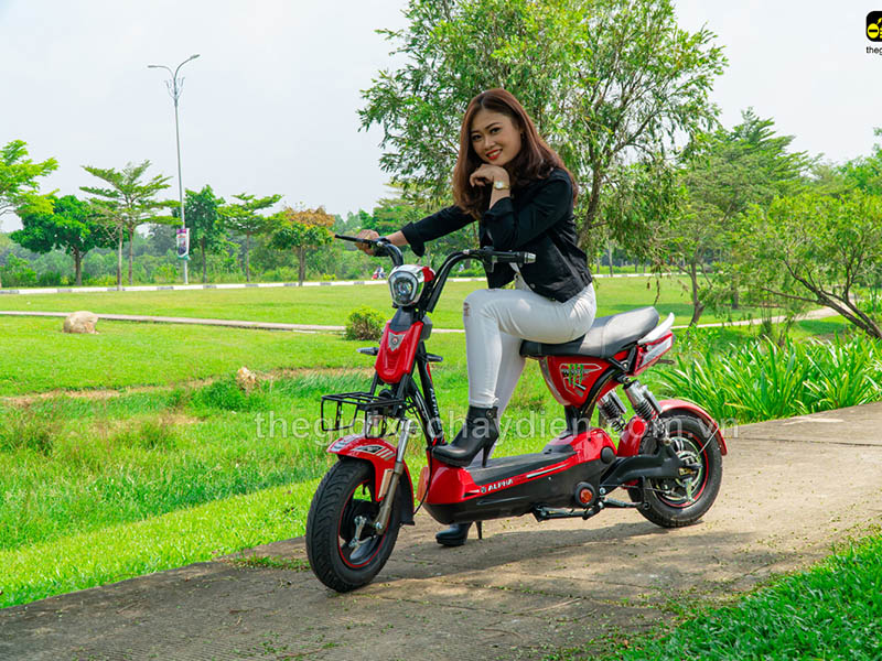 Ắc quy xe đạp điện Alpha Bến Tre