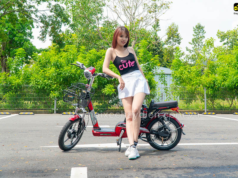 Ắc quy xe đạp điện Alpha Hai Bà Trưng