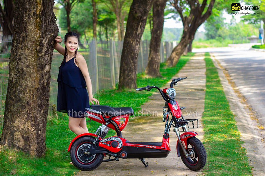 Ắc quy xe đạp điện Alpha Vĩnh Phúc