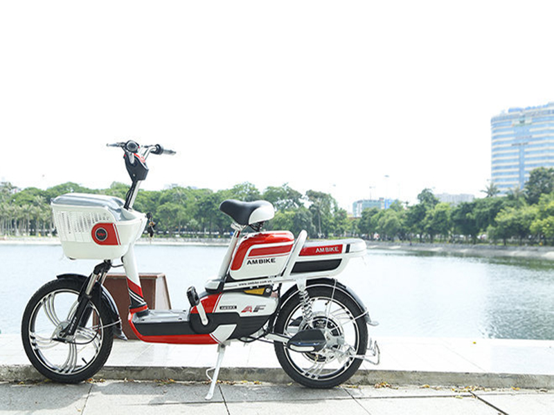 Ắc quy xe đạp điện Ambike Vũng Tàu 