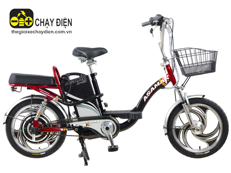 Ắc quy xe đạp điện Asama Thanh Hóa