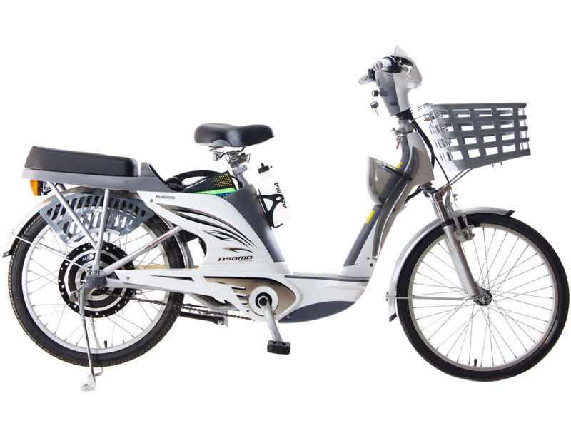 Ắc quy xe đạp điện Asama Vũng Tàu