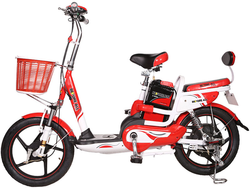 Ắc quy xe đạp điện Before All Bắc Kạn