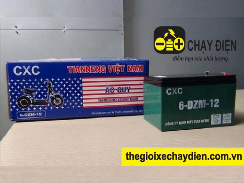 Ắc quy xe đạp điện CXC