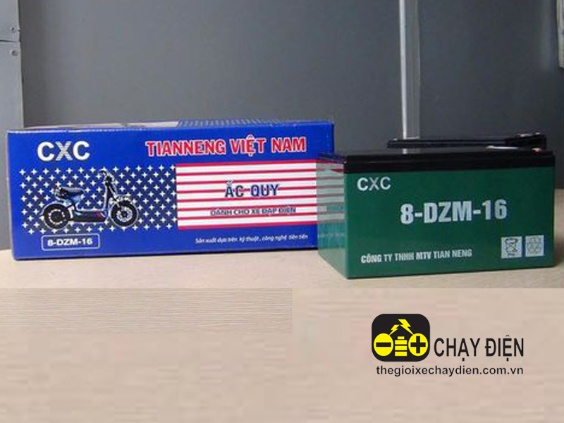 Ắc quy xe đạp điện Cxc