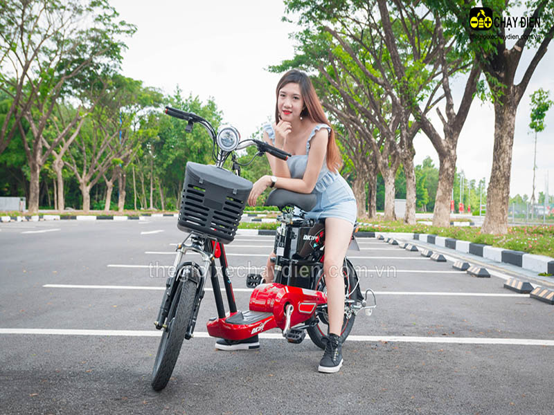 Ắc quy xe đạp điện Đào Khôi Dkbike Cầu Giấy