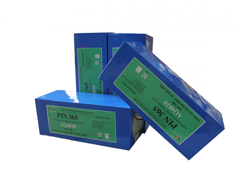 Ắc quy xe đạp điện Dragon Cát Tường