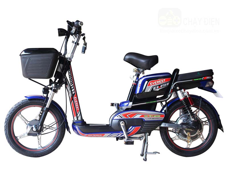 Ắc quy xe đạp điện Everest An Giang