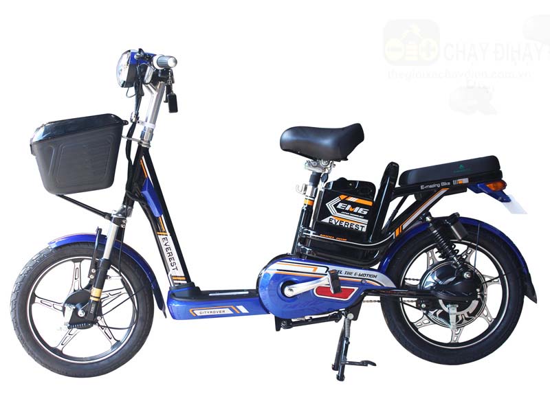 Ắc quy xe đạp điện Everest Bến Tre