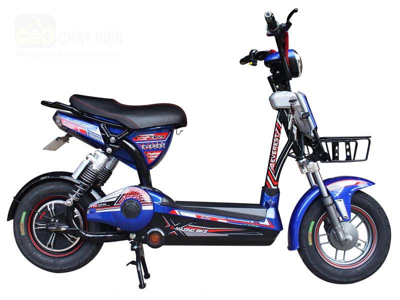 Ắc quy xe đạp điện Everest Dak Lak