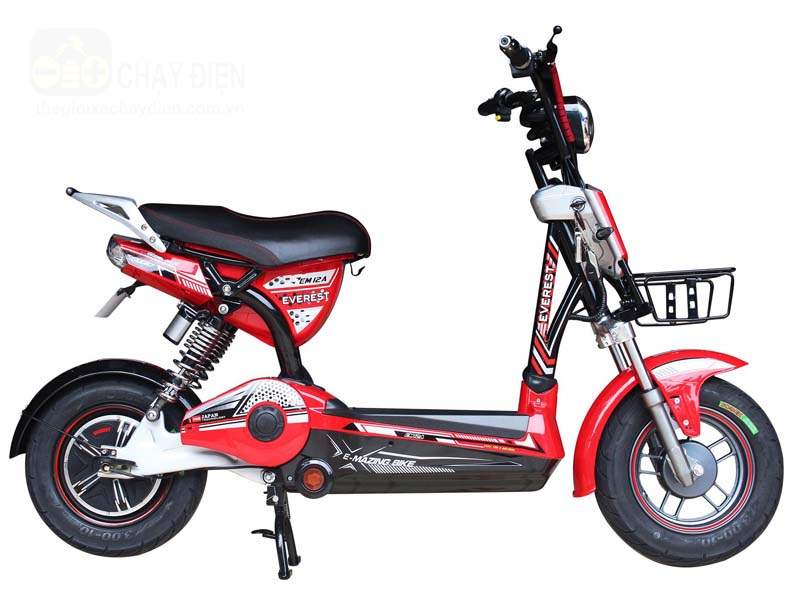 Ắc quy xe đạp điện Everest Thái Bình
