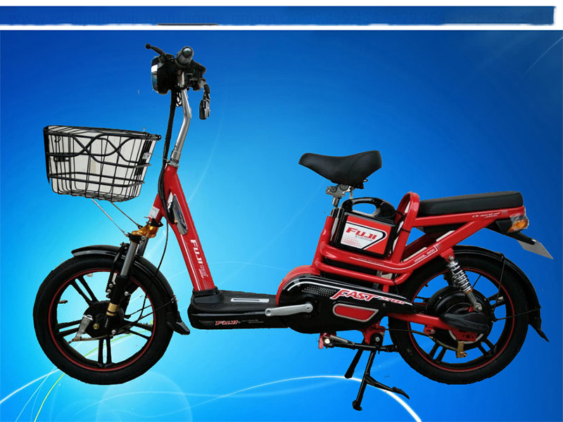 Ắc quy xe đạp điện Fuji Dak lak 