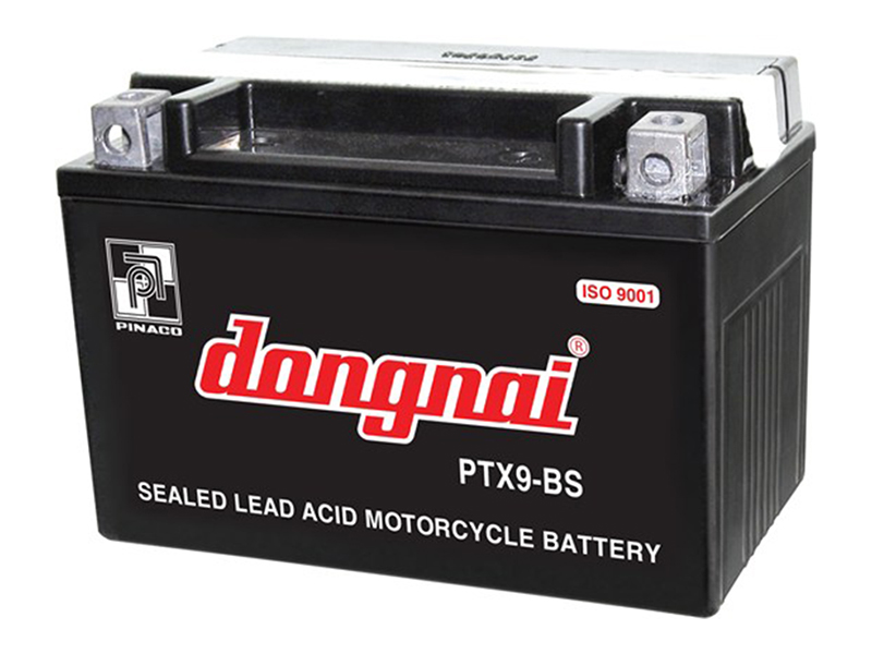 Ắc quy xe đạp điện Fuji Lai Châu 