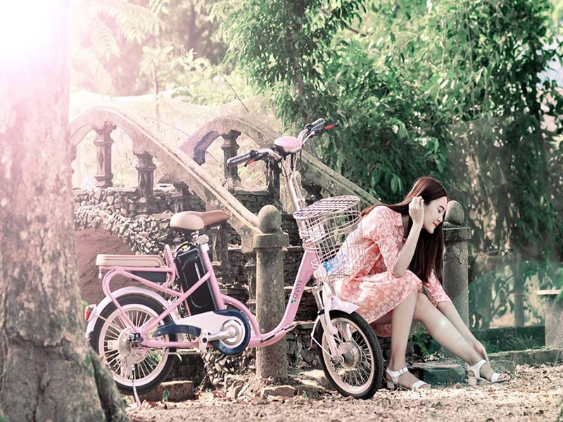 Ắc quy xe đạp điện Gianya Long An