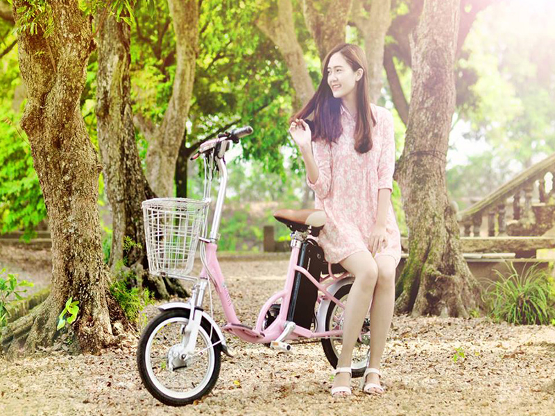 Ắc quy xe đạp điện Gianya Quảng Bình