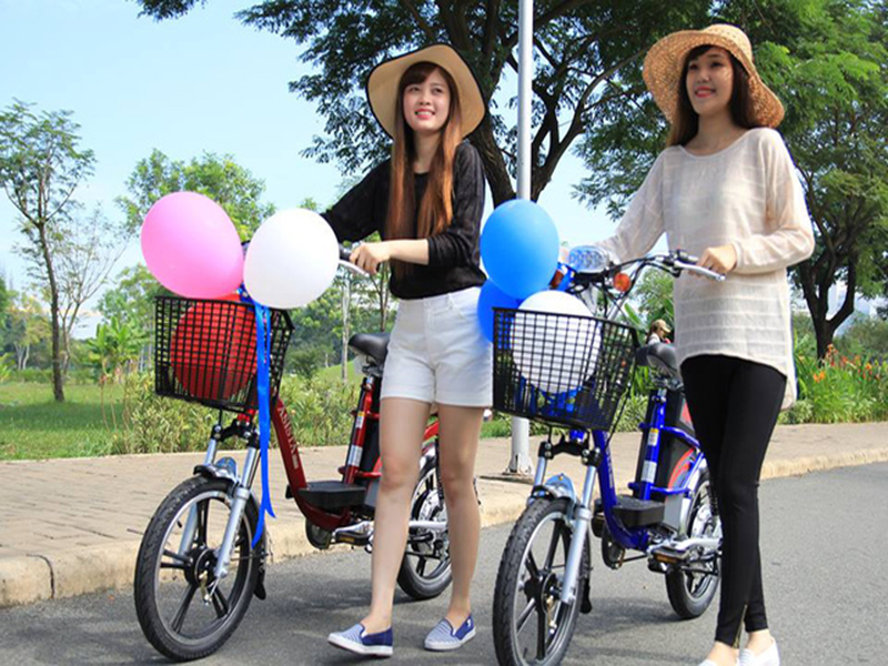 Ắc quy xe đạp điện hãng Asista Bmm