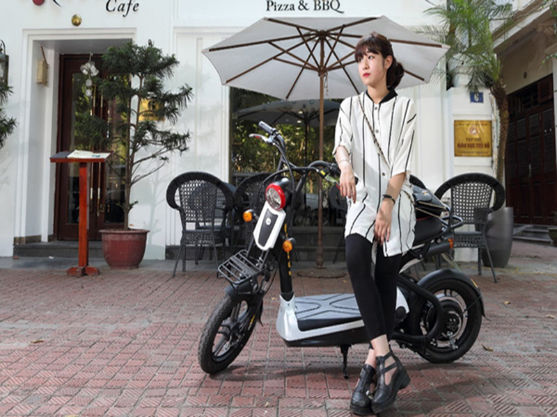 Ắc quy xe đạp điện hãng Đào Khôi Dkbike