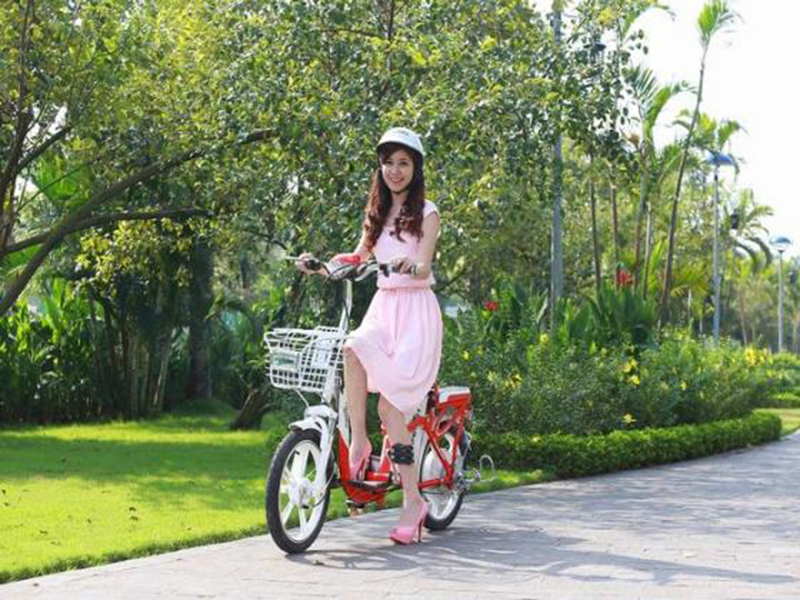 Ắc quy xe đạp điện hãng DTP