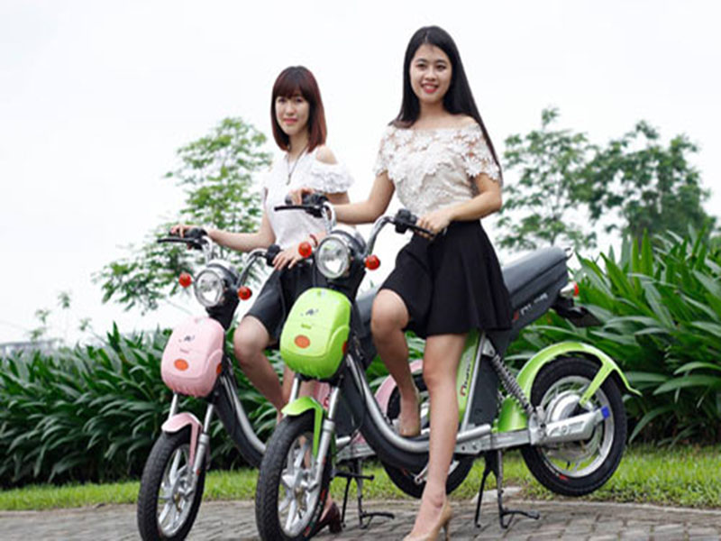 Ắc quy xe đạp điện hãng Nijia