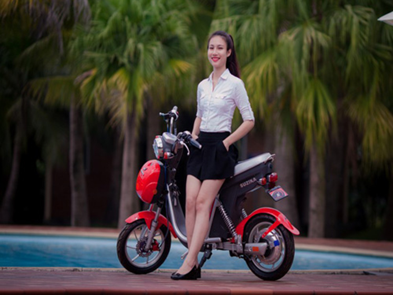Ắc quy xe đạp điện hãng Suzika