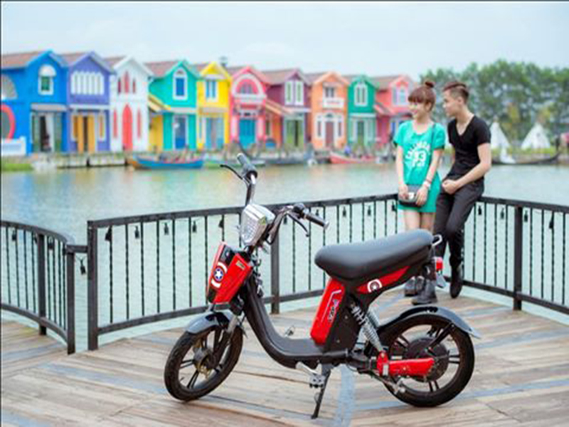 Ắc quy xe đạp điện hãng Terra Motors