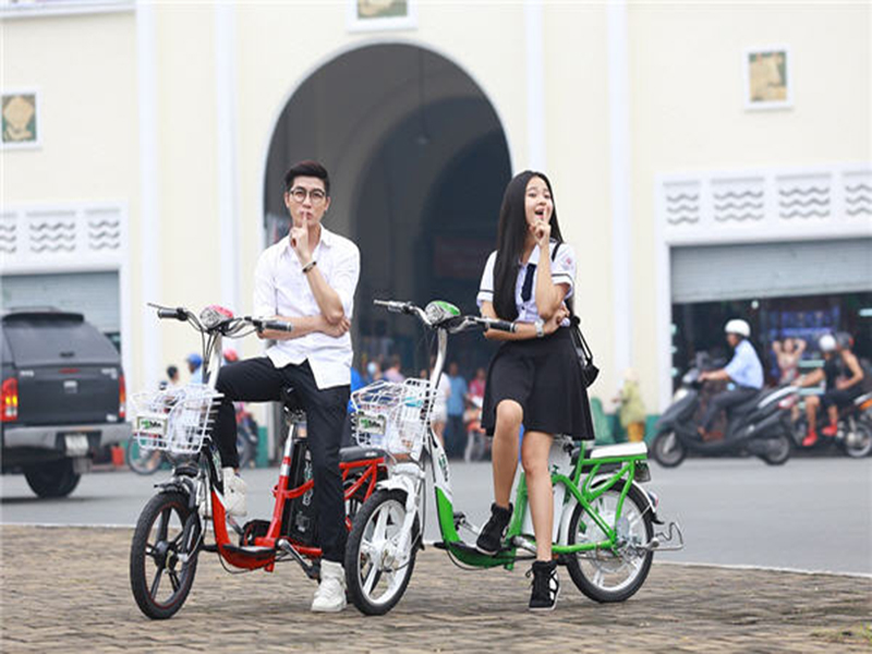 Ắc quy xe đạp điện hãng Yadea