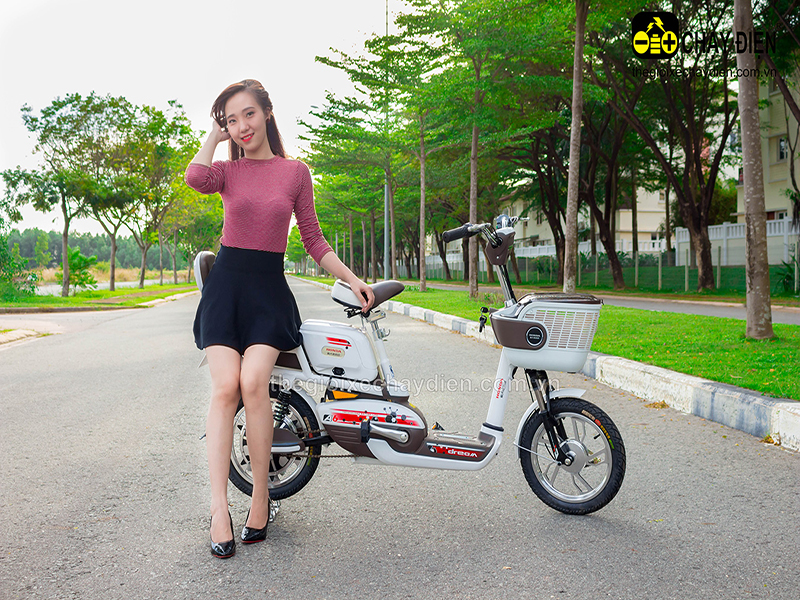 Ắc quy xe đạp điện Honda Hậu Giang 