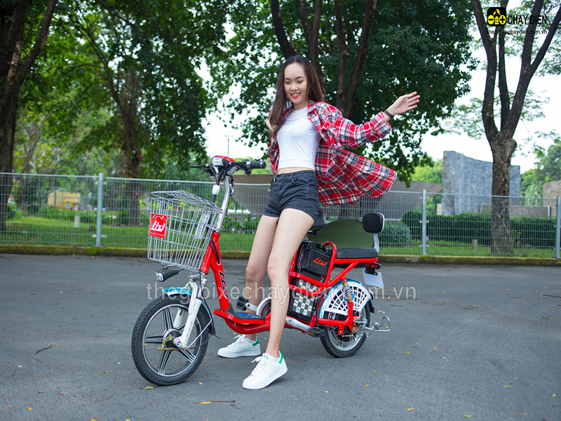 Ắc quy xe đạp điện Lixi Bình Tân