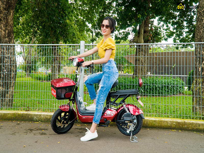 Ắc quy xe đạp điện Lixi Hà Nội 